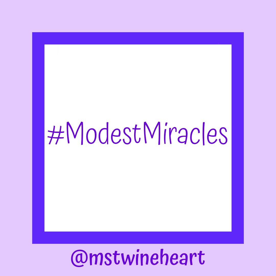 Modest Miracles